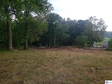 7495 Hardinsburg Rd, Cecilia, KY 42724 - photo 2