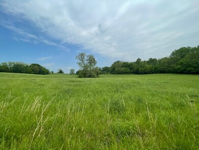 TBD E Side N White River Rd, Campbellsburg, IN 47108 - photo 5