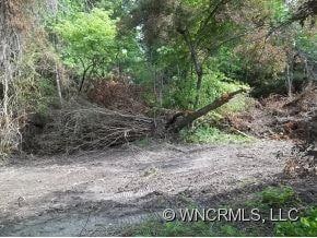 More clearing