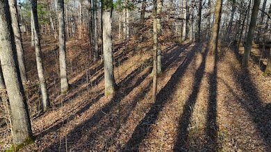 7000 W County Road 1150 N, Salt Creek Township, IN 47235 - photo 7