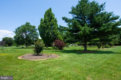 8855 Orchard Dr, Chestertown, MD 21620 - photo 6