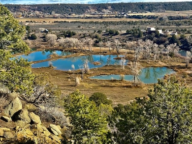 7149/7498 Cr 213, Durango, CO 81301 - photo 4