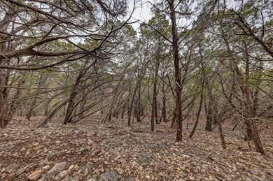 158 Ledge Stone Ln W unit 9, Hunt, TX 78024 - photo 6