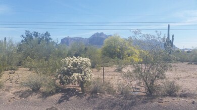 View of Superstition Mountains from your
