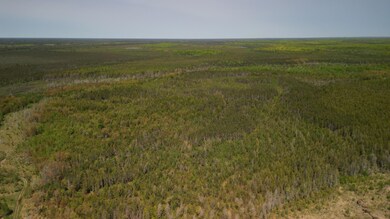 DJI_0751