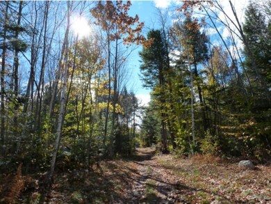 30 Mount Shaw Rd, Ossipee, NH 03864 - photo 7