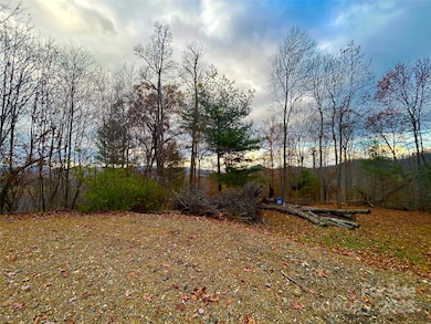 00000 High Peak Ridge unit 10, Green Mountain, NC 28740 - photo 4