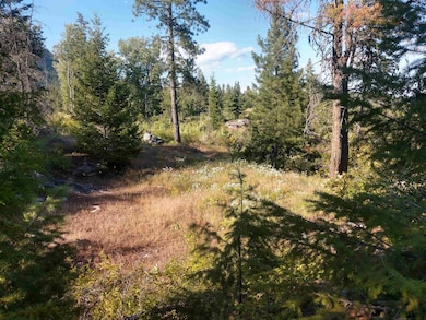 432 Quartz Rd, Newport, WA 99156 - photo 4