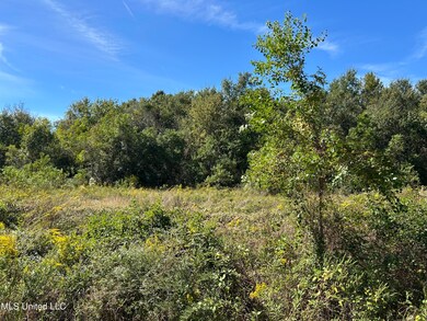 Lot 3 Hope Ln, Pass Christian, MS 39571 - photo 4