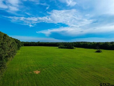 3916 S Kings Hwy, Texarkana, TX 75501 - photo 2