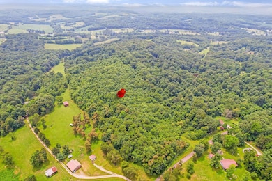 6063 Pleasant Chapel Rd Land 2