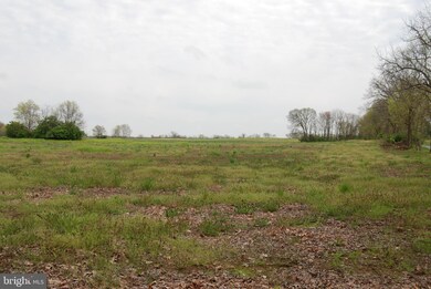 0 Longmarsh Rd unit VACL111262, Berryville, VA 22611 - photo 6