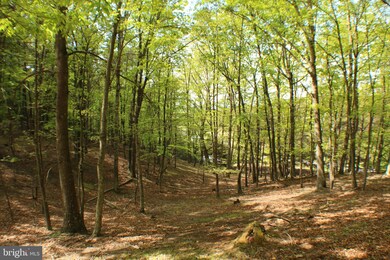 28 Ewing Dr, Capon, WV 26801 - photo 4