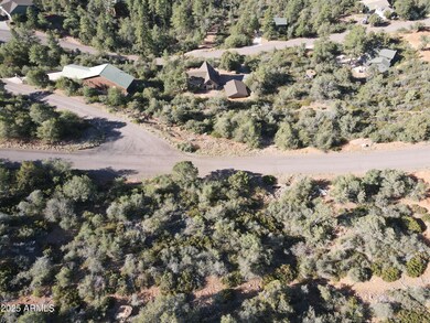 dji_fly_20250614_075128_850_174991272416