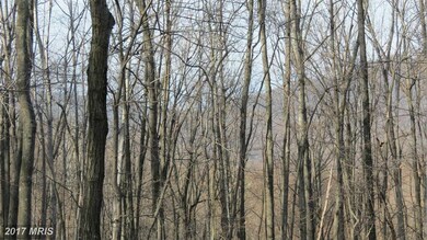 0 Piedmont unit 1002535310, Washington, VA 22747 - photo 6