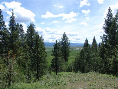 Mountain & Valley Views