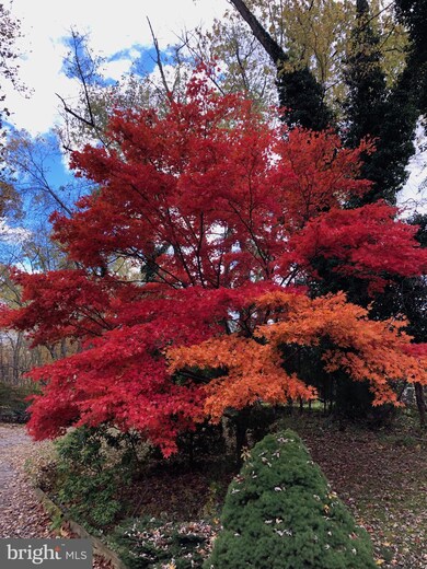 1918 Merrifields Dr, Silver Spring, MD 20906 - photo 5