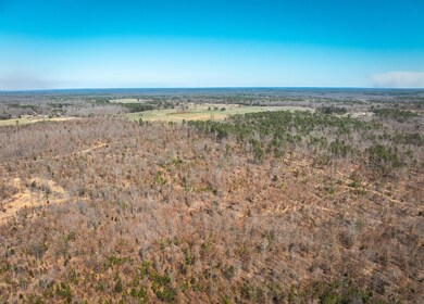 DJI_20240321134623_0130_D