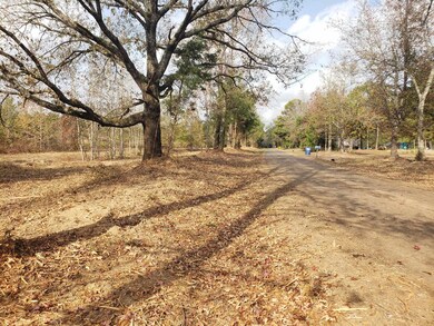 TBD Cr 1552 10 097 Ac, Long Branch, TX 75669 - photo 7