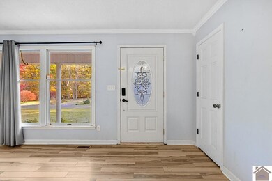 319 Crystal Lake Rd, Wickliffe, KY 42087 - photo 5