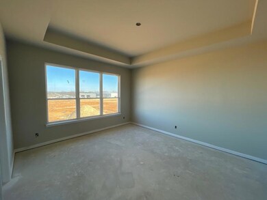 1025 Northern Oaks Ct, Springtown, TX 76082 - photo 4