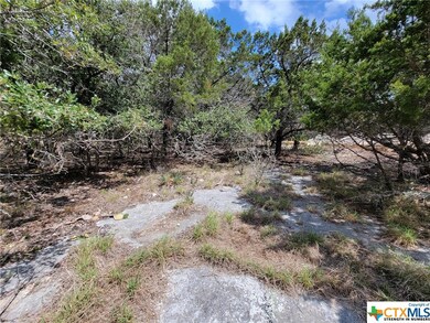 4881 Goliad Dr, Temple, TX 76502 - photo 2