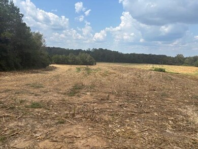 110 Reaves Rd, Middleton, TN 38052 - photo 4