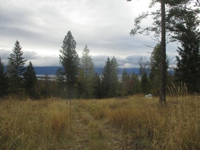 Nhn Damorecy Dr, Rollins, MT 59931 - photo 6