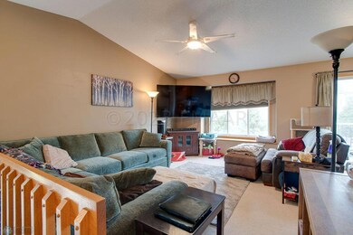 1538_SUNTREE_DR-2