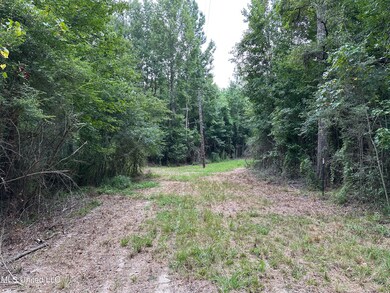 0 Stovall Ln, Summit, MS 39666 - photo 4