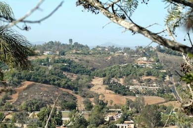 Seen from Hiealeah Estates... from across Moosa Ca