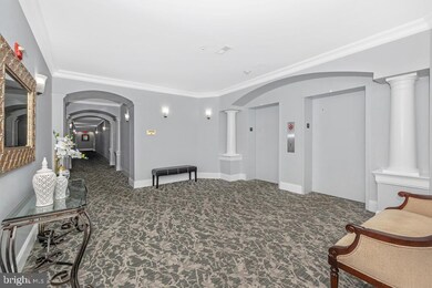 2520 Waterside Dr unit 314, Frederick, MD 21701 - photo 7