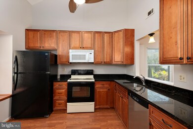 6307 Red Haven Rd, Columbia, MD 21045 - photo 4