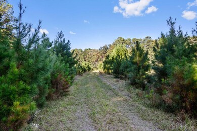 2418 Plow Ground Rd, Johns Island, SC 29455 - photo 2