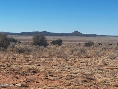 00 SW Double Back Dr, Seligman, AZ 86337 - photo 2