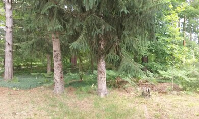 14314 Brooks St, Kaleva, MI 49645 - photo 6