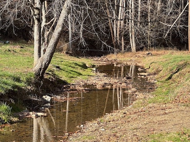 310 Tanner Fork, Shock, WV 26638 - photo 3