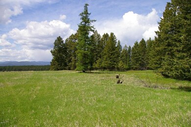 meadow