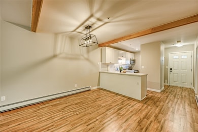 400 W Main St unit 103, Frisco, CO 80443 - photo 5