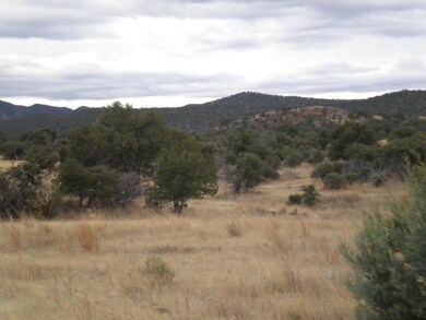 Southeastern View