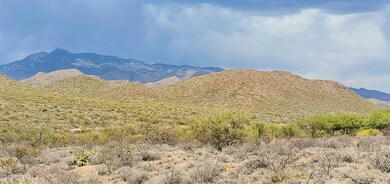 20210602_154335 (3)