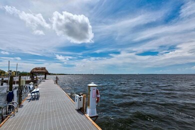 dock water