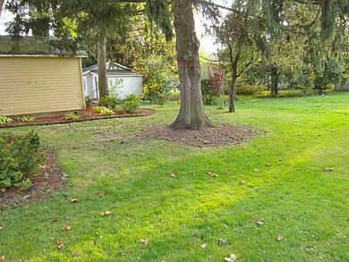 Yard/Garden