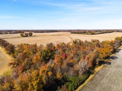 TBD US Highway 72 W, Athens, AL 35611 - photo 6