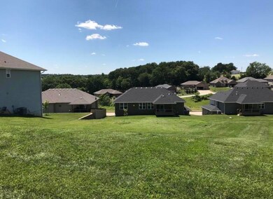 843 S Cobble Creek ( Lot 128) Blvd, Nixa, MO 65714 - photo 3