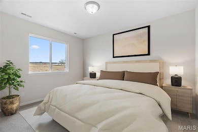 891 Walter Way, Washington, MO 63090 - photo 6