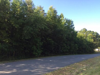 0 Green Level Loop Rd unit 92122, Burlington, NC 27217 - photo 6