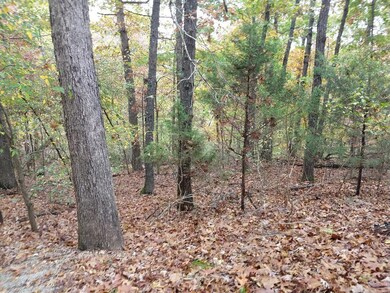 000 Fox Fire Knoll Dr, Kimberling City, MO 65686 - photo 2