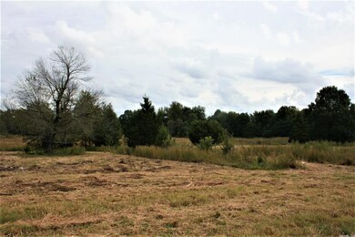 14.35 Acres + - Cr 766, Jonesboro, AR 72405 - photo 6