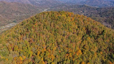 0 Tbd East Fork Rd, Sylva, NC 28779 - photo 7